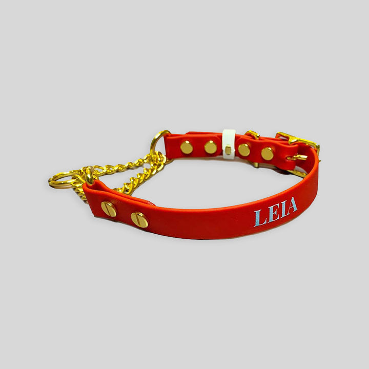 Martingale Collar