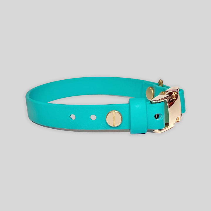 Quick Release Collar