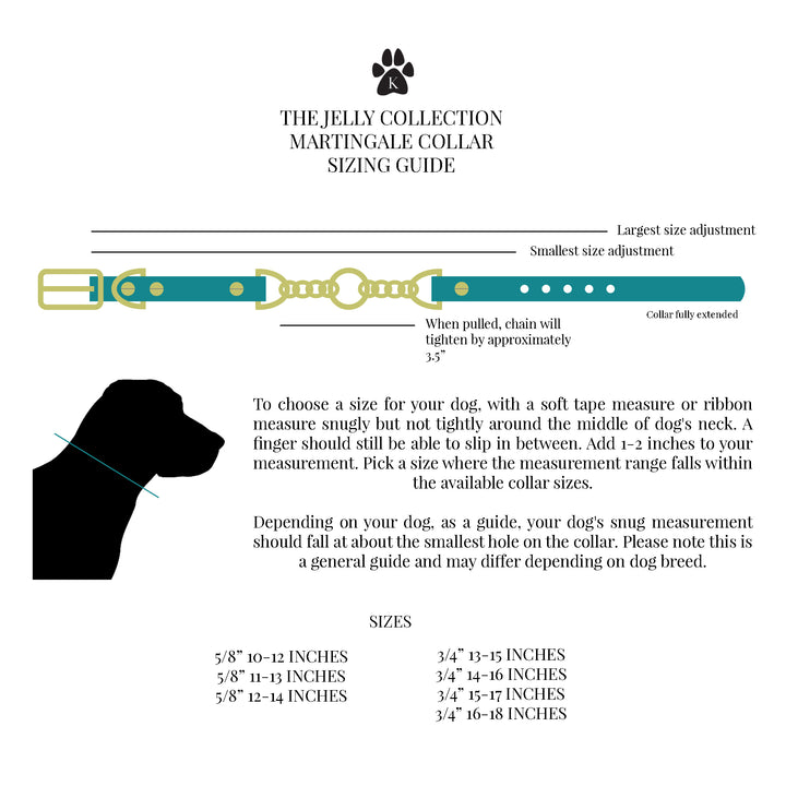 Martingale Collar