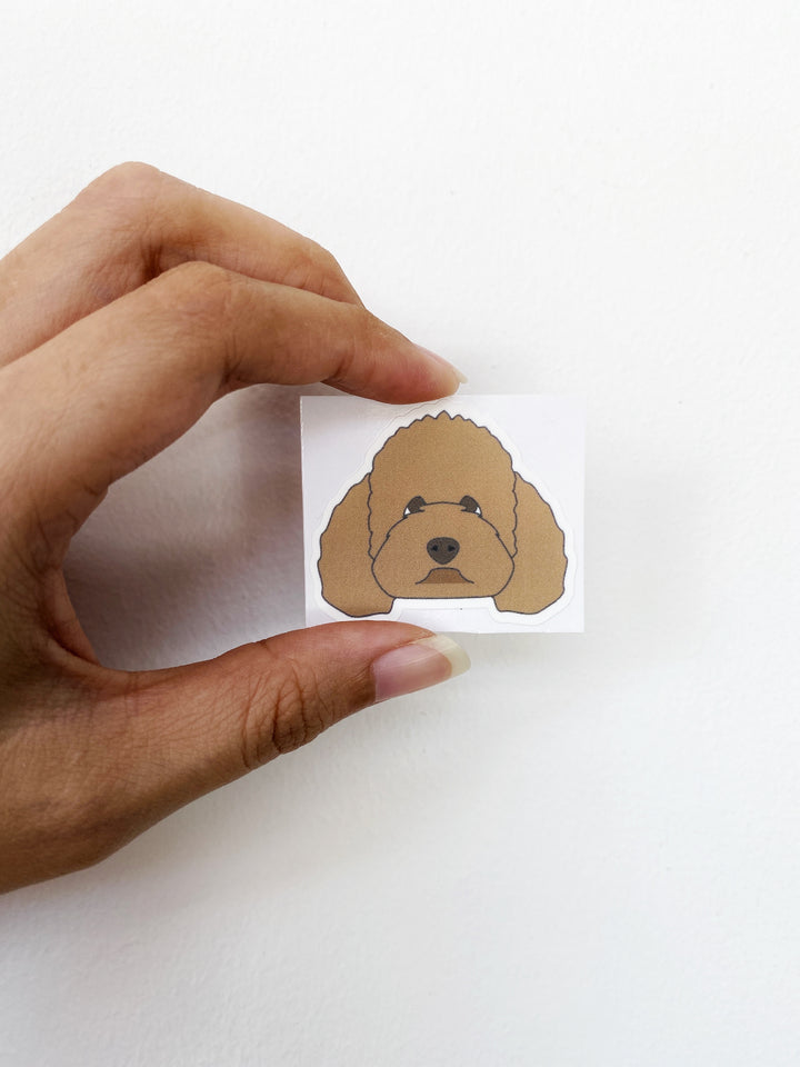 Apricot Poodle Waterproof Sticker