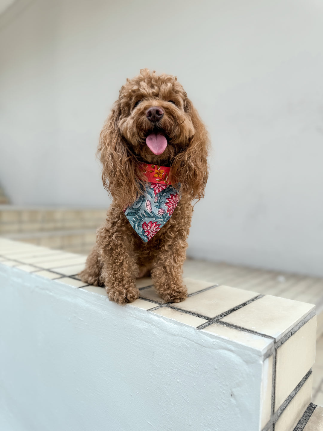 Georgie wears the Classic Bandana in orange wildflowers / blue vines. 