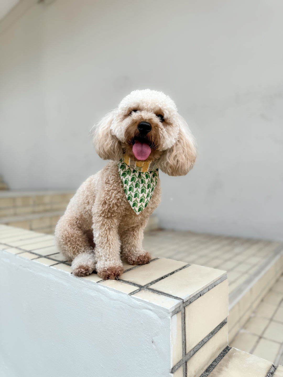 Gus wears the Classic Bandana in green tulips / chevrons.