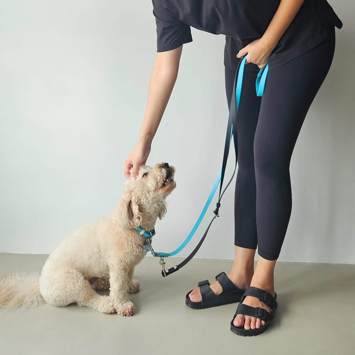 Switch Leash Hands-Free Handle