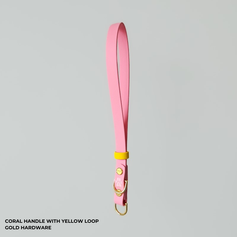 Switch Leash Handle