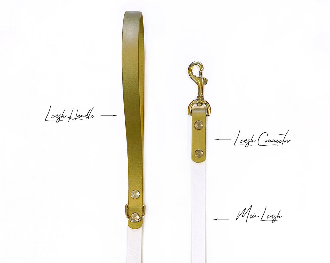 The Classic Leash (Grande 3/4")