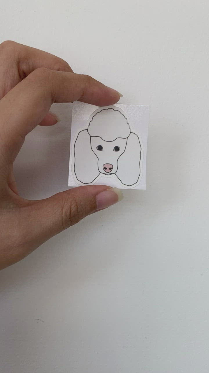 White Poodle Waterproof Sticker