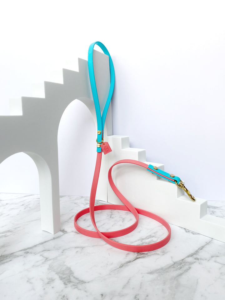 The Classic Leash (Petit 3/8")