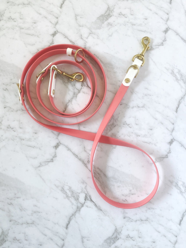 The  Snap + Go Multi-Way Leash (Moyen 5/8")