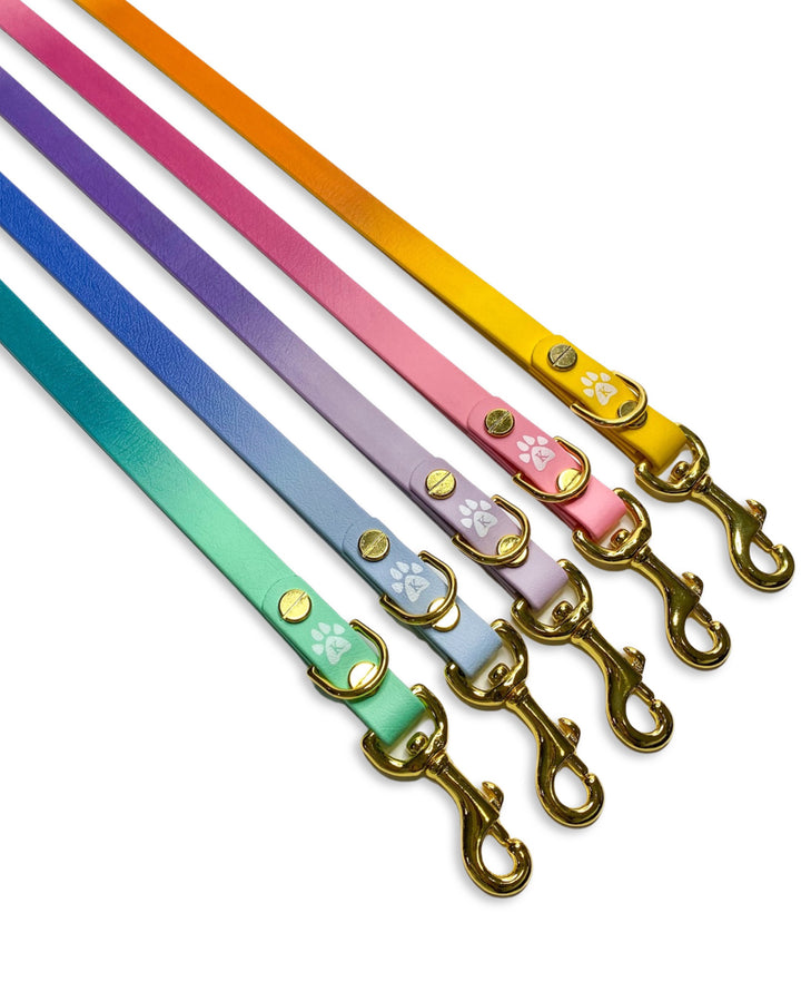 Ombré Leash Module