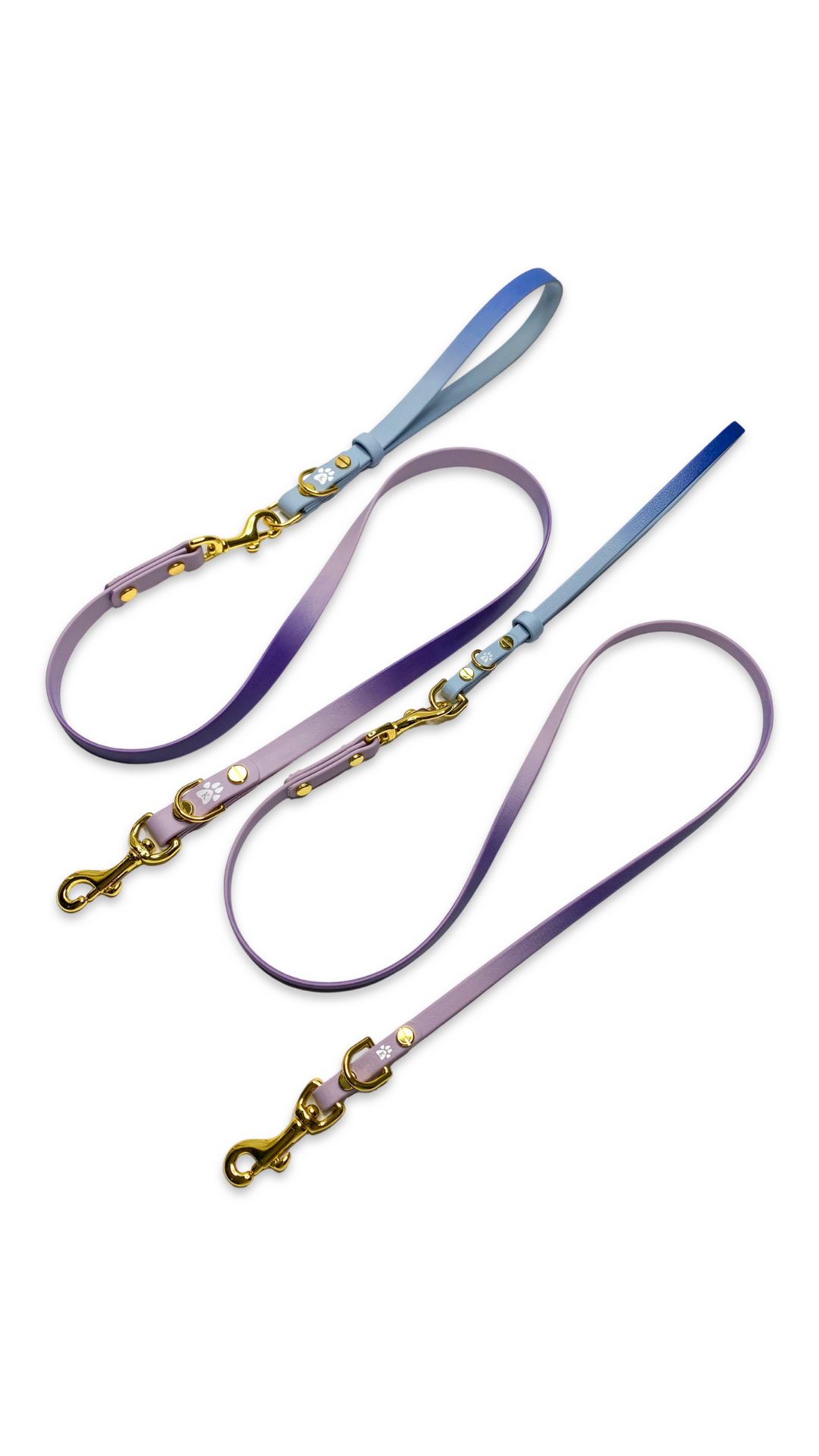 Ombré Leash Module