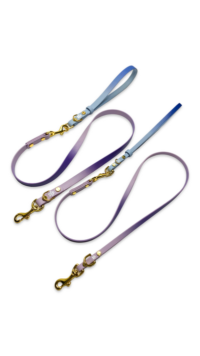 INKED Switch Leash Strap: Ombre