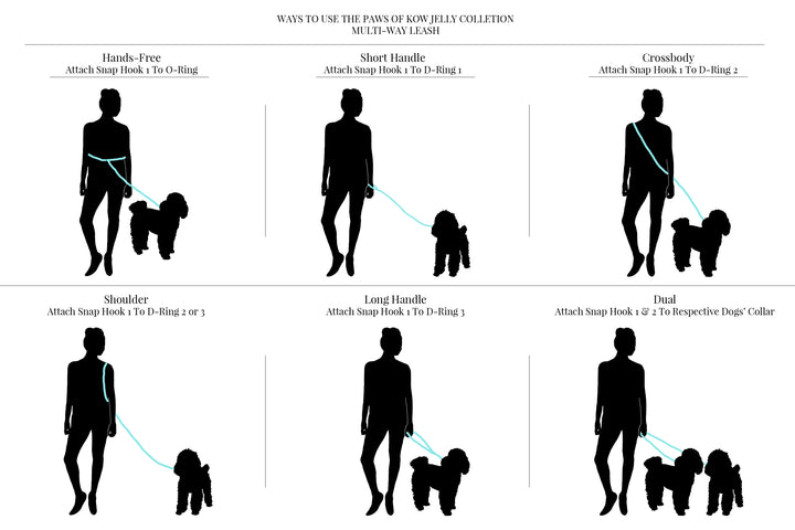 The  Snap + Go Multi-Way Leash (Moyen 5/8")